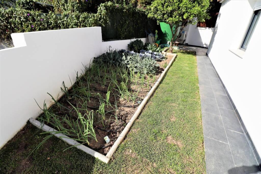 Hoyo 19 Villa Marbella Dış mekan fotoğraf